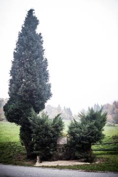 IMG_5480_Martina Hrastnik